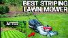 Best Lawn Mower For Stripes Masport Rotarola Rotary Walk Behind New Zealand