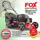Frisky Fox Plus Lawn Mower Petrol Self Propelled 4 Blade Quad-cut 20 51cm