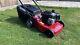 Lawnmower Lawn Mower Mountfield Sp185 Self Propelled Fully Serviced Petrol Mower