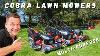 Multi Purpose Lawn Mowers From Cobra Garden