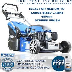 Petrol Lawn Mower Rear Roller Electric Start Self Propelled Lawnmower 19 48cm