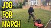 Start The Lawn Care Now It S March